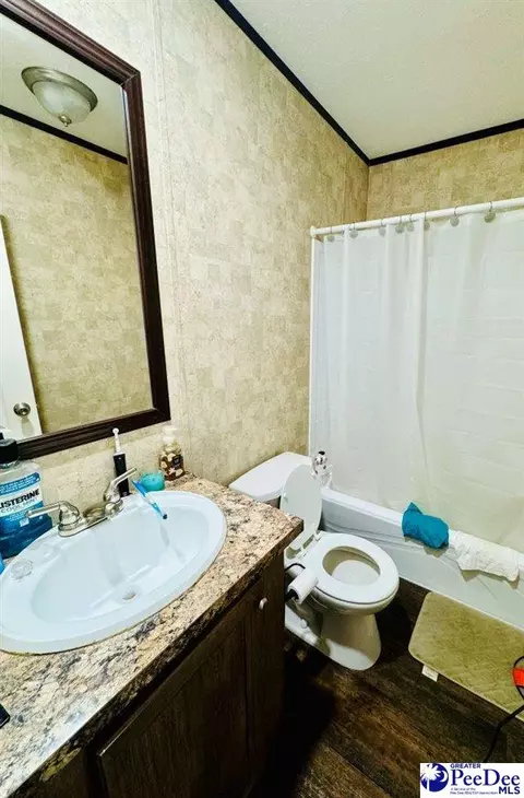 4137 Albert Ln, Wallace, SC 29596 photo 27