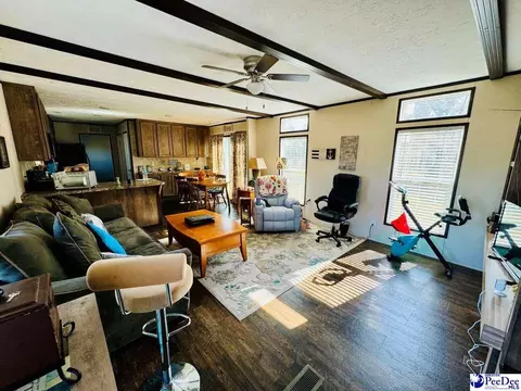 4137 Albert Ln, Wallace, SC 29596 photo 22