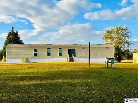 4137 Albert Ln, Wallace, SC 29596 photo 4
