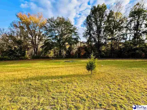 4137 Albert Ln, Wallace, SC 29596 photo 5
