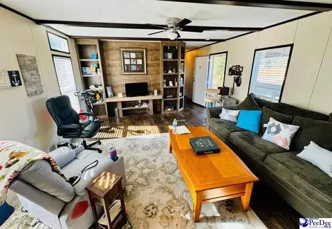 4137 Albert Ln, Wallace, SC 29596 photo 19