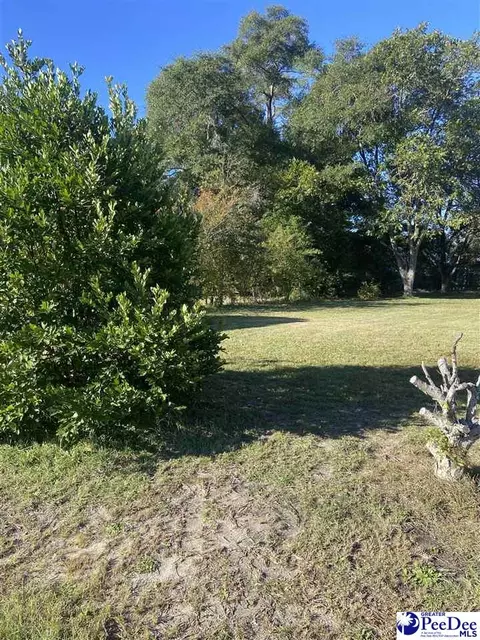 224 Odom St, Darlington, SC 29532 photo 2