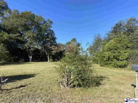 224 Odom St, Darlington, SC 29532 photo 1