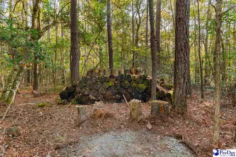 1815 Gilbert Rd, Conway, SC 29527 photo 38