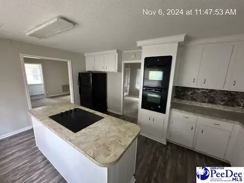 6325 Skinner Rd, Gable, SC 29051 photo 4