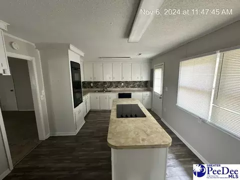 6325 Skinner Rd, Gable, SC 29051 photo 5