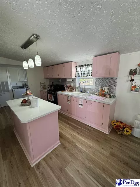 1822 Southern Acres Loop, Dillon, SC 29536 photo 6