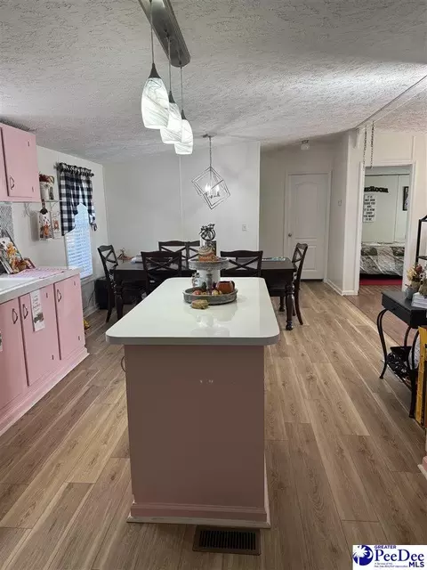 1822 Southern Acres Loop, Dillon, SC 29536 photo 8