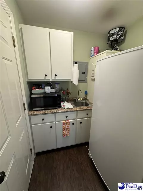 1822 Southern Acres Loop, Dillon, SC 29536 photo 18