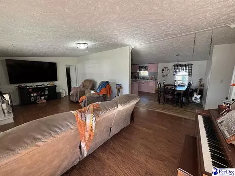 1822 Southern Acres Loop, Dillon, SC 29536 photo 4
