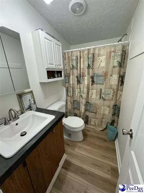 1822 Southern Acres Loop, Dillon, SC 29536 photo 14