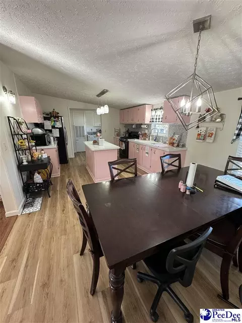 1822 Southern Acres Loop, Dillon, SC 29536 photo 10