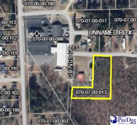 Goings Drive, Dillon, SC 29536
