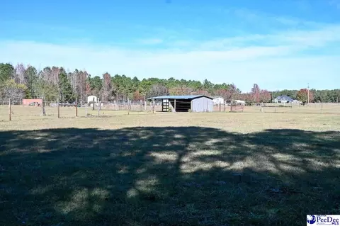 1932 Una Rd, Lamar, SC 29069 photo 40