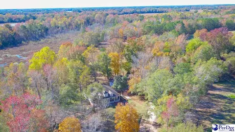 1932 Una Rd, Lamar, SC 29069 photo 34