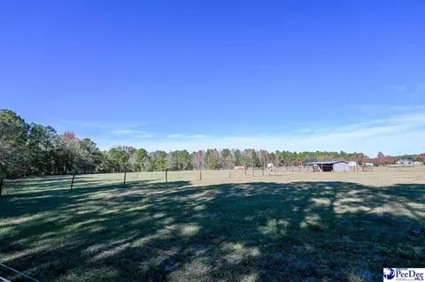1932 Una Rd, Lamar, SC 29069 photo 39