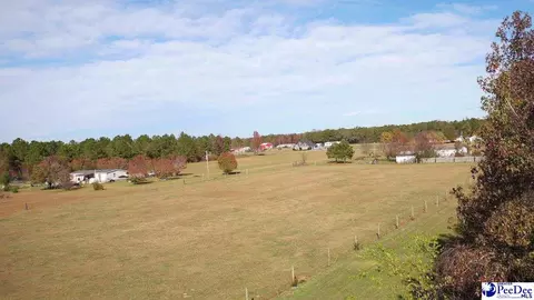 1932 Una Rd, Lamar, SC 29069 photo 31