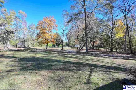 1932 Una Rd, Lamar, SC 29069 photo 28