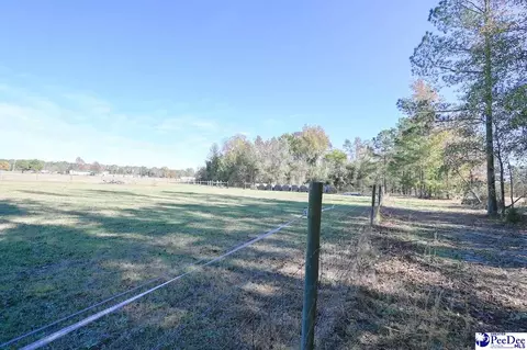1932 Una Rd, Lamar, SC 29069 photo 38