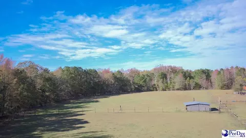 1932 Una Rd, Lamar, SC 29069 photo 32
