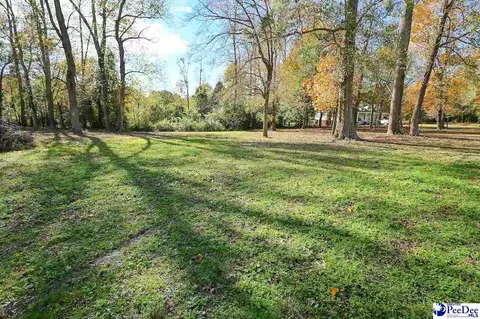 1932 Una Rd, Lamar, SC 29069 photo 37
