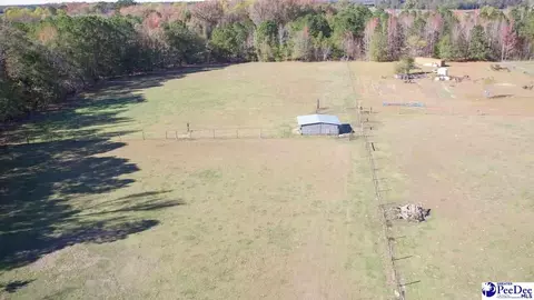 1932 Una Rd, Lamar, SC 29069 photo 30