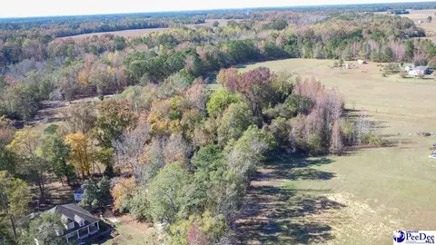 1932 Una Rd, Lamar, SC 29069 photo 33