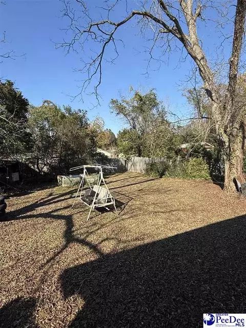 68 Victory Dr, Cheraw, SC 29520 photo 22