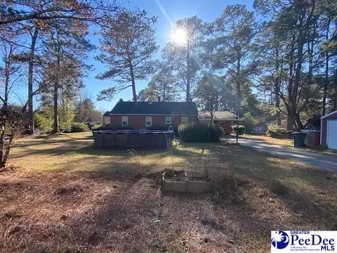 208 Pine St, Latta, SC 29565 photo 37