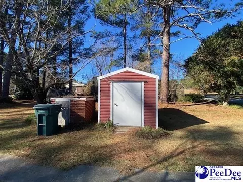 208 Pine St, Latta, SC 29565 photo 41