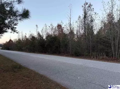 tbd Scottland Rd, Dillon, SC 29536