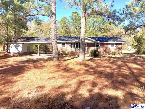 1928 Smitty Rd, Dillon, SC 29536 photo 3