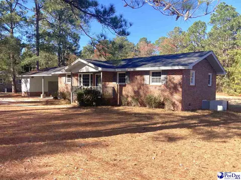 1928 Smitty Rd, Dillon, SC 29536 photo 1