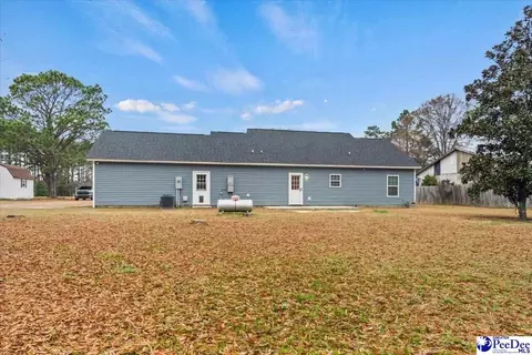 910 Mclaughlin Rd, Effingham, SC 29541 photo 5