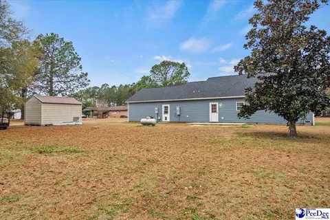 910 Mclaughlin Rd, Effingham, SC 29541 photo 6