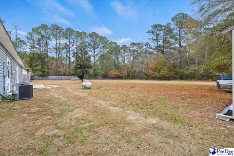 910 Mclaughlin Rd, Effingham, SC 29541 photo 40