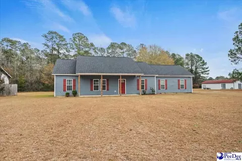 910 Mclaughlin Rd, Effingham, SC 29541 photo 2