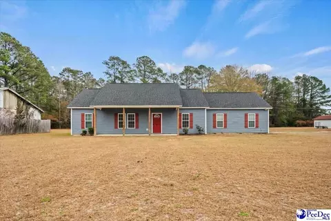 910 Mclaughlin Rd, Effingham, SC 29541 photo 1
