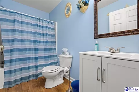 7435 Five Chop Rd, Santee, SC 29142 photo 13
