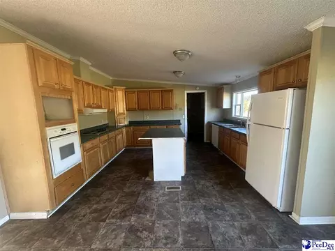 2797 Old Manning Highway Rd, Scranton, SC 29591 photo 4