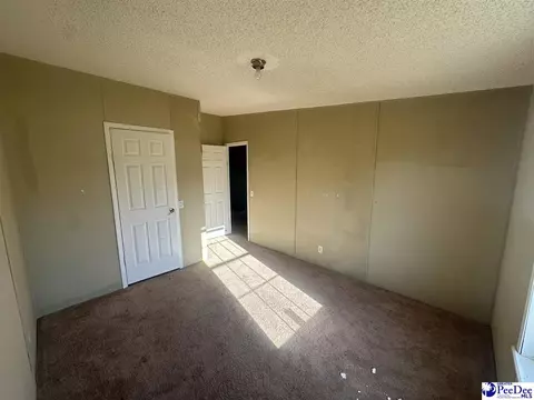 2797 Old Manning Highway Rd, Scranton, SC 29591 photo 7