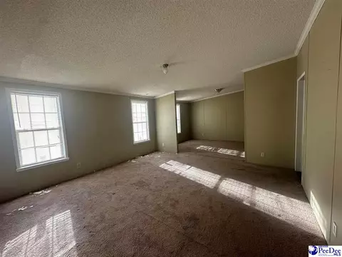 2797 Old Manning Highway Rd, Scranton, SC 29591 photo 14