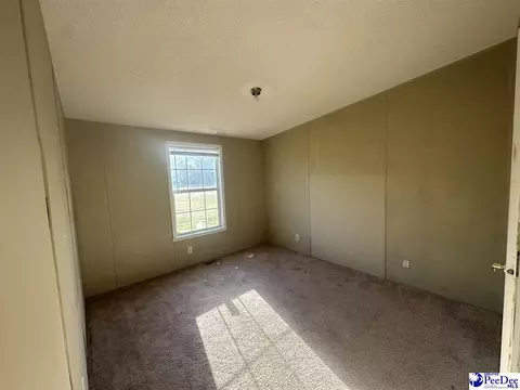 2797 Old Manning Highway Rd, Scranton, SC 29591 photo 8