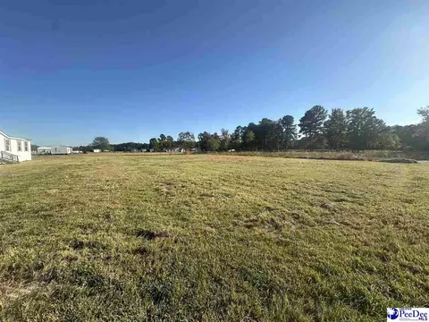 2797 Old Manning Highway Rd, Scranton, SC 29591 photo 2