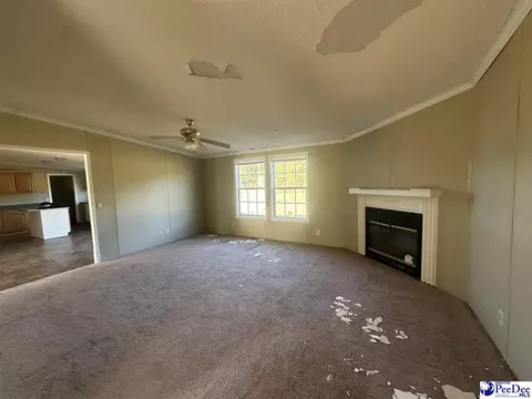 2797 Old Manning Highway Rd, Scranton, SC 29591 photo 6