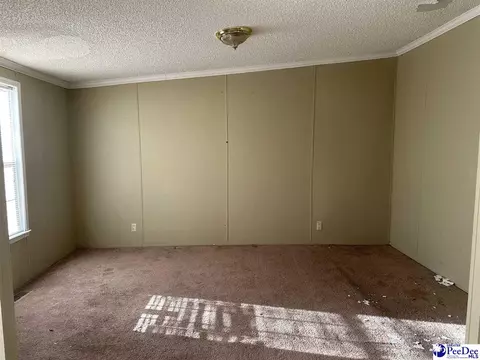 2797 Old Manning Highway Rd, Scranton, SC 29591 photo 15