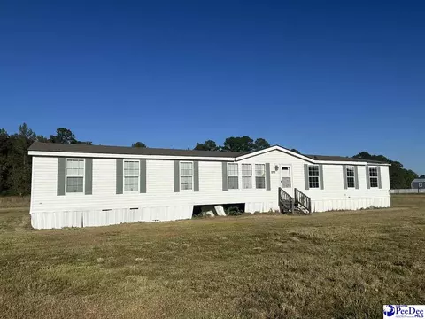 2797 Old Manning Highway Rd, Scranton, SC 29591 photo 1