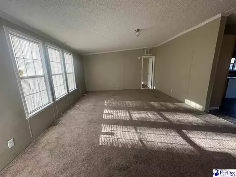 2797 Old Manning Highway Rd, Scranton, SC 29591 photo 3