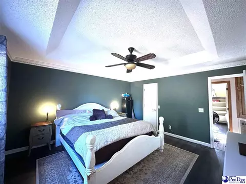 16823 Hwy 102, Patrick, SC 29584 photo 22