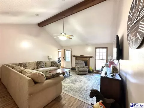 16823 Hwy 102, Patrick, SC 29584 photo 15